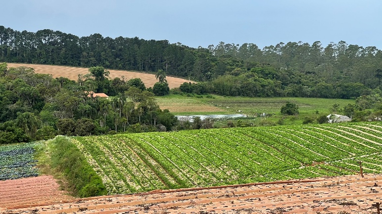 Cadastro Ambiental Rural (CAR)